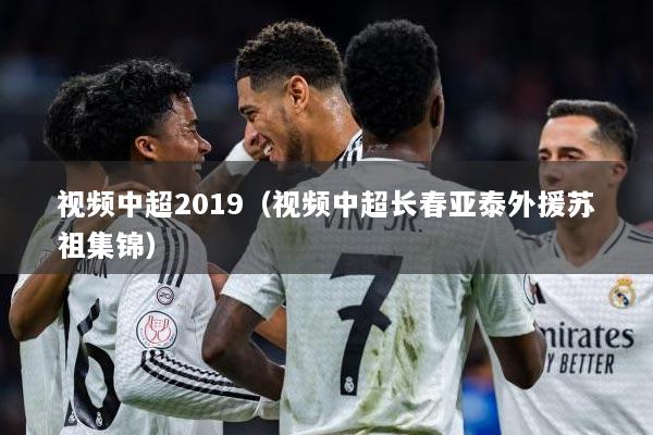 视频中超2019（视频中超长春亚泰外援苏祖集锦）