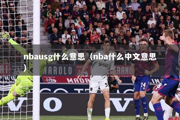 nbausg什么意思（nba什么中文意思）
