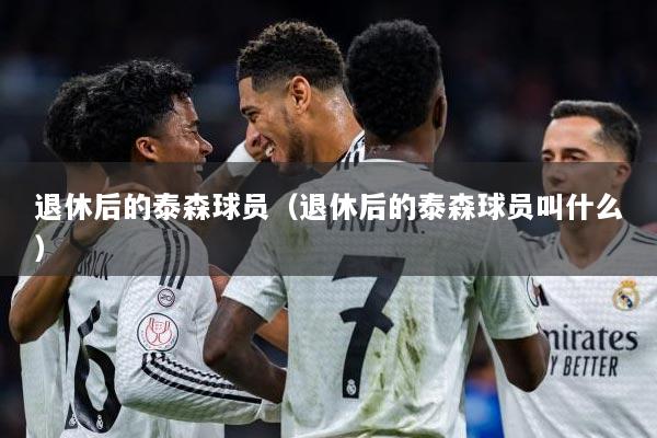 退休后的泰森球员（退休后的泰森球员叫什么）