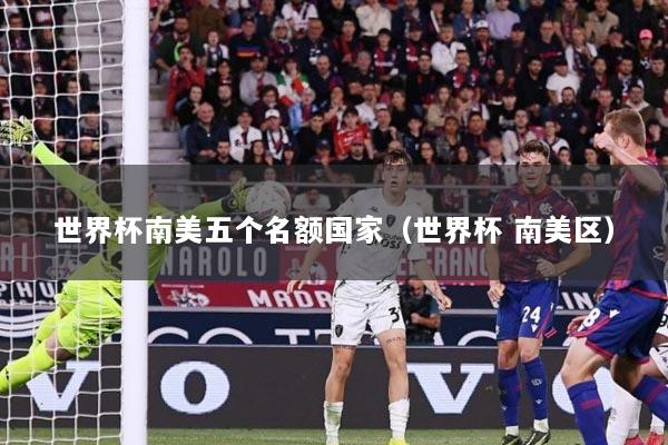 世界杯南美五个名额国家（世界杯 南美区）