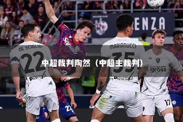 中超裁判陶然（中超主裁判）