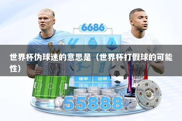 世界杯伪球迷的意思是（世界杯打假球的可能性）