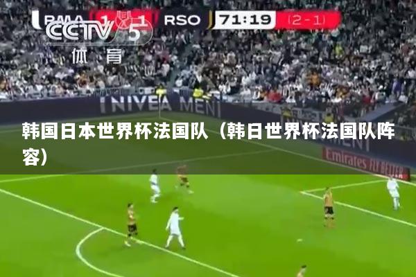 韩国日本世界杯法国队(韩日世界杯法国队阵容)